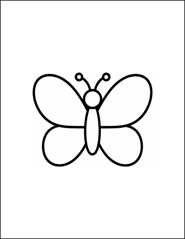 A butterfly with open wings divided into four large sections.