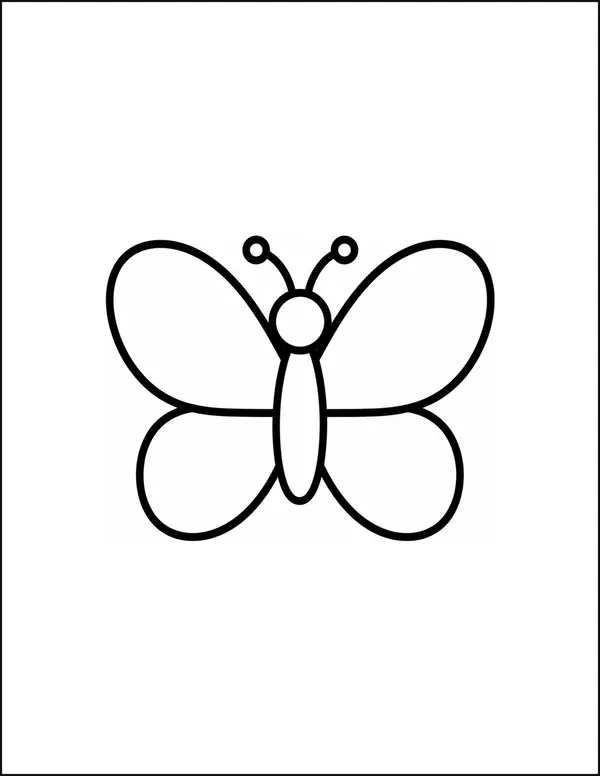 A butterfly with open wings divided into four large sections.