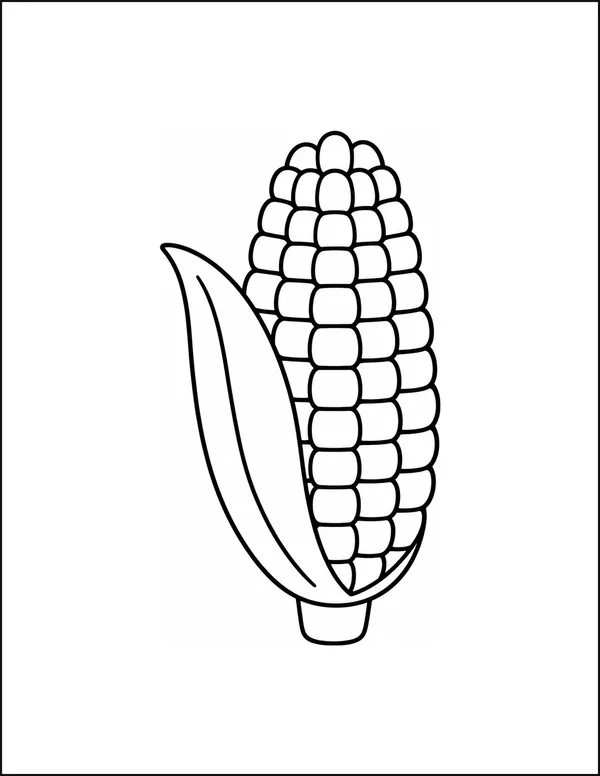 One large corn cob with five rows of kernels and a leaf.