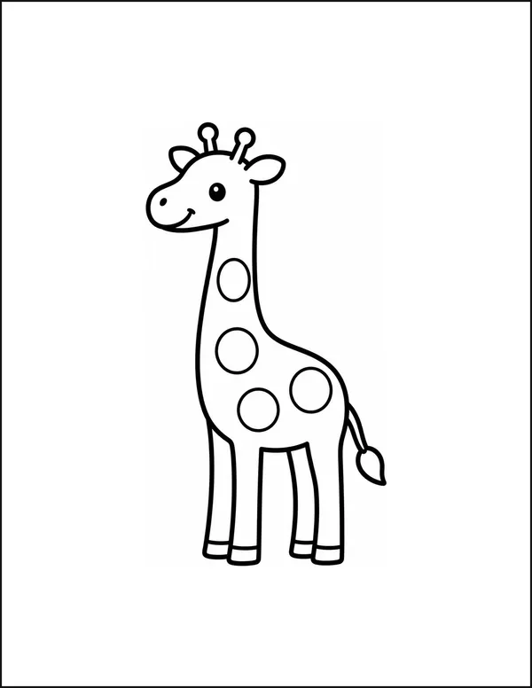 A tall giraffe standing with exactly four large spots.