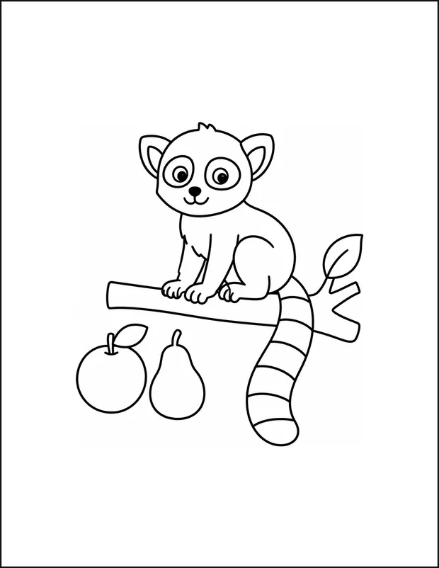 A lemur sitting on a branch with five wide stripes on its tail.